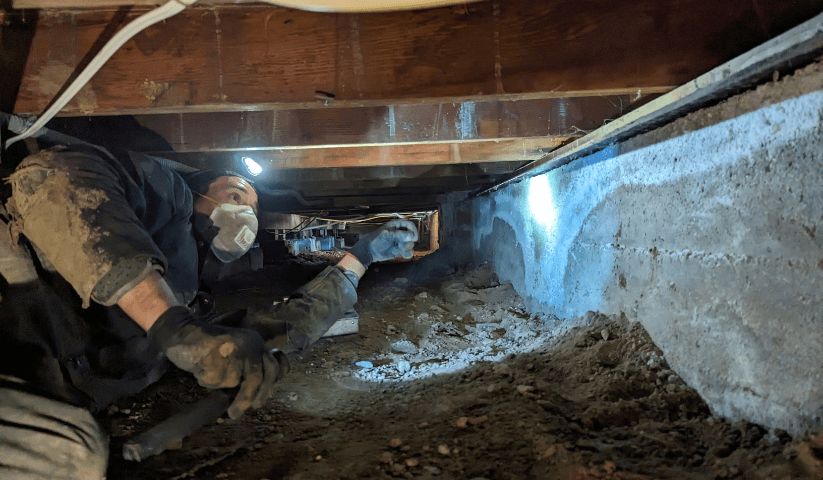 Water Damage Signs for Foundation Repair